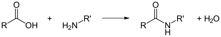 Bildung eines Amids (schematische Darstellung)