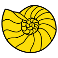 Ammonite with possible overlap or dual spiral.svg