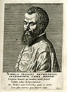 Andreas Vesalius (1514–1564). Known as the modern founder of human anatomy.