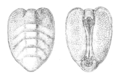 Hình xem trước của phiên bản lúc 09:37, ngày 19 tháng 3 năm 2012