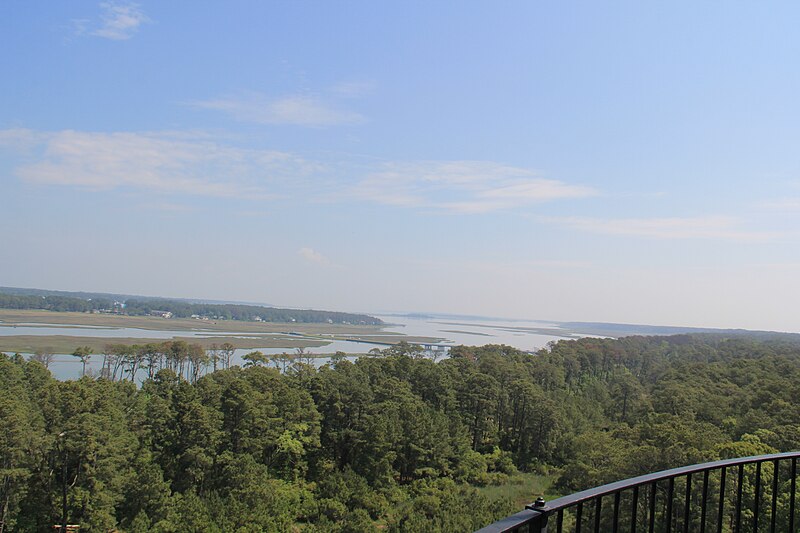 File:Assateague lighthouse - panoramio (40).jpg