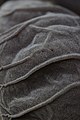 Auricularia auricula-judae (33882973703).jpg