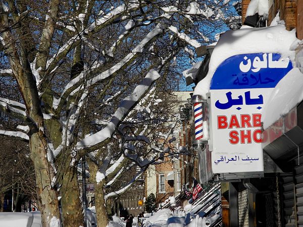 Bay Ridge in Brooklyn, New York City; also has a strongly diverse Arab community, in which its largest Arab groups are Palestinians and Yemenis. Its s