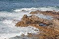 * Nomination Granitic rocks and sea foam on the coast of Baiona, Gaicia, (Spain). 15 --Lmbuga 10:19, 14 February 2022 (UTC) * Promotion  Support Good quality. --Tomer T 11:45, 14 February 2022 (UTC)