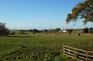 Balgray Mill, Farm and the location of Pokelly Hall in the distance Balgray Mill - geograph.org.uk - 257189.jpg