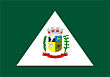 Vlag van Tijucas do Sul