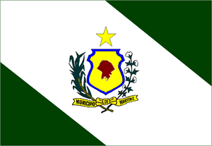 Bandeira de Martins (RN).png