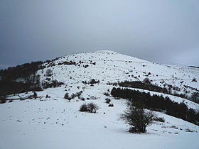 Sommet du Belchou (1 130 m) sous la neige depuis Othamonho (762 m).