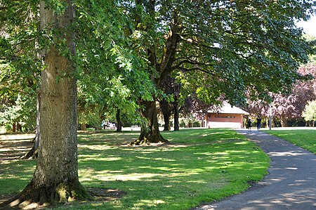 Berkeley Park Portland