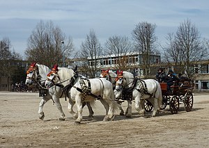 Anspannung: Anordnung der Zugtiere, Anspannungsarten: Verbindung der Stränge mit dem Wagen, Fahrstile