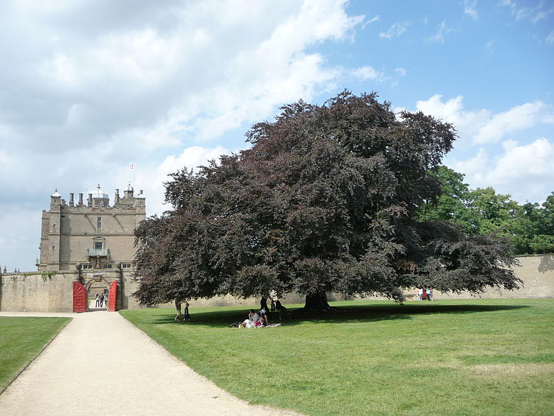 File:Bolsover-Castle-27.JPG