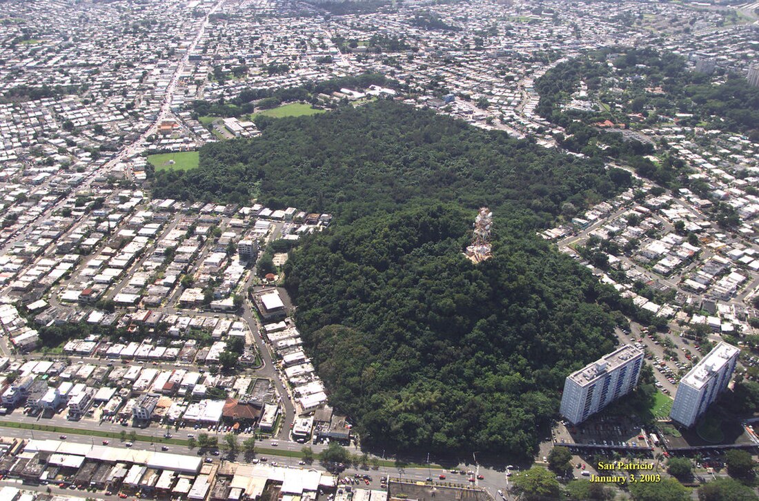 San Patricio State Forest