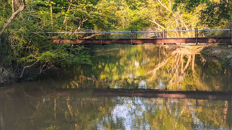 File:Bridge Reflection - Tickfaw State Park, Louisiana.jpg