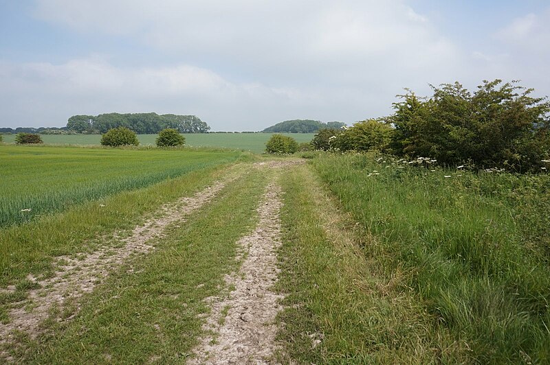 File:Bridleway off Mill Lane (geograph 6512628).jpg