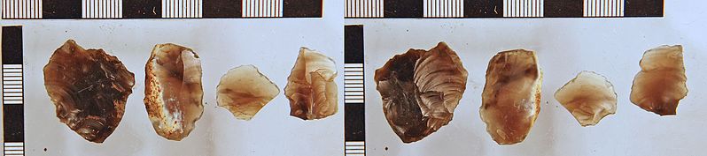 File:Bronze Age Debitage, dorsal view left and ventral view right (FindID 657131).jpg