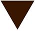 Brown triangle svg.jpg