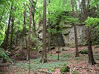 Bild 5: Burgfelsen von Nordosten