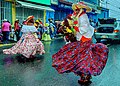 Burriquitas bajo la lluvia4