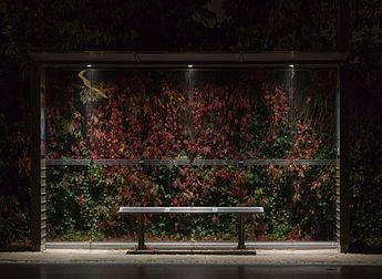 Fotografia noturna de um abrigo de ônibus no bairro de Risskov, Aarhus, Dinamarca. (definição 4 003 × 2 925)