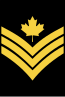 CDN-Navy-PO2.svg