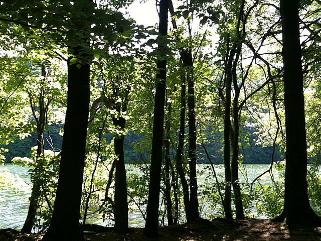 Crescent Lake (Bradley Hubbard Reservoir) in Meriden's Giuffrida Park on the Mattabesett Trail. .