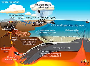 Carbonate-Silicate Cycle (Carbon Cycle focus).jpg