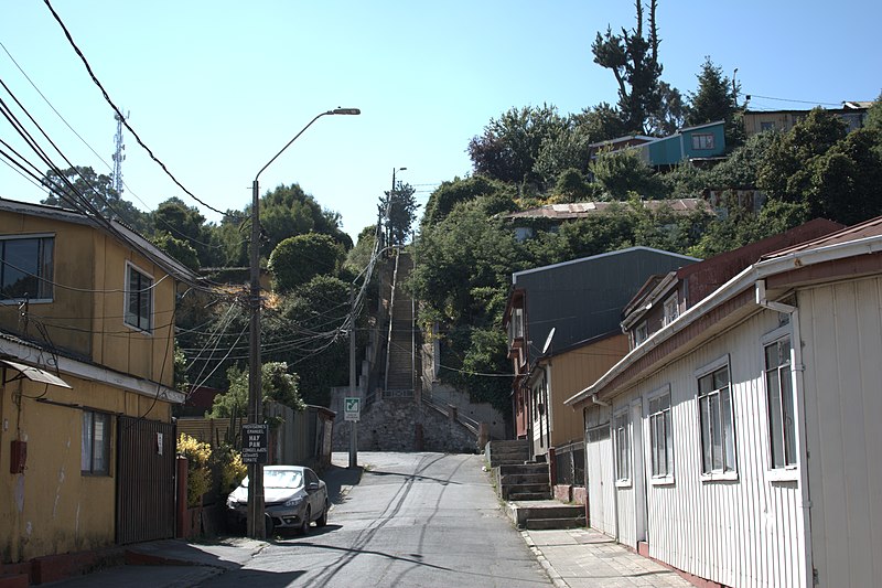 File:Cerros de Talcahuano - Wikipaseo fotográfico Concepción 2019 - (088).jpg