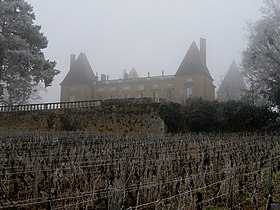 Illustrativt billede af artiklen Château de Layé