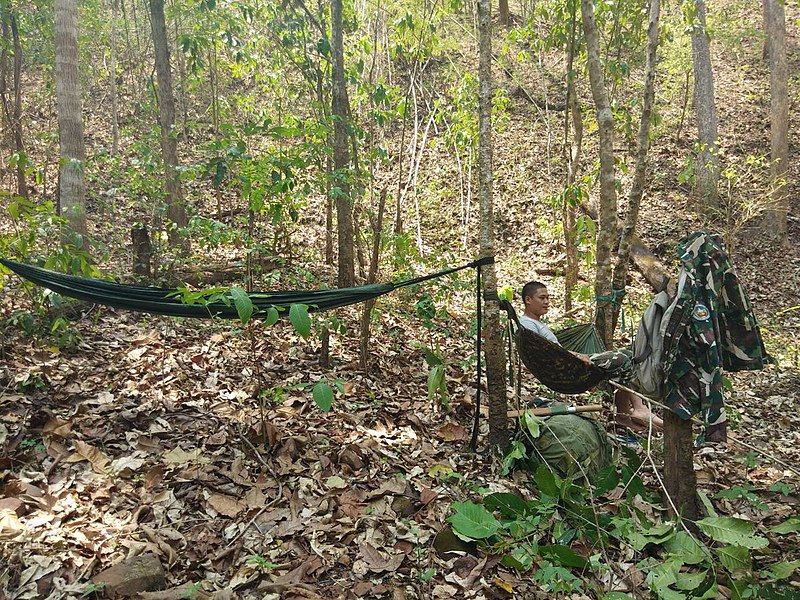 File:Chokchai’s job as a Thai park ranger often requires him to sleep in the forest, exposing him to mosquitoes carrying malaria.jpg