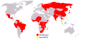 Cholera: Erreger, Vorkommen, Infektion