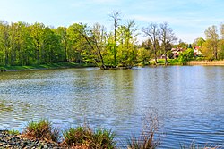 Chrtnický rybník v pboře Choltice