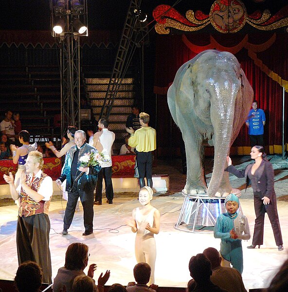 592px-Cirkus_Merano_1.jpg