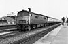 Class 52 D1005 Western Venturer, Reading, 20 април 1976.jpg