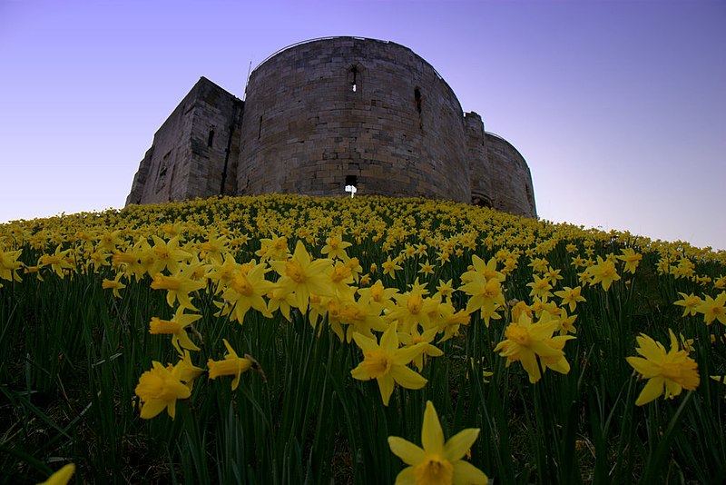 File:Clifford's Tower (5558502612).jpg