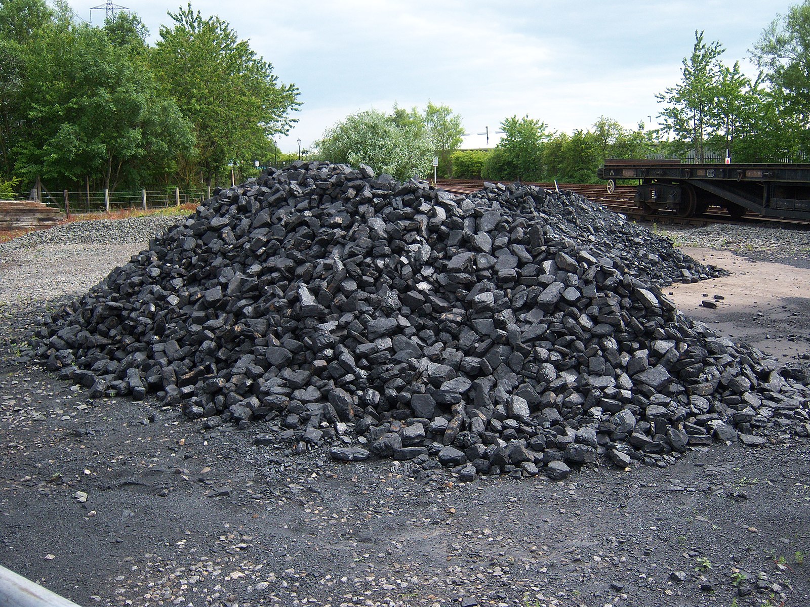 Steam coal это фото 18