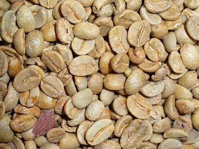 Coffea arabica Beans