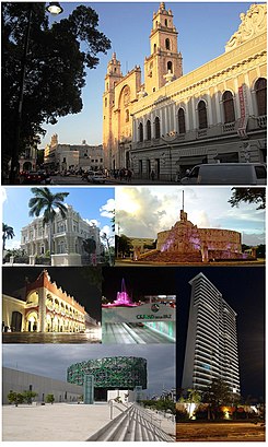 Collage Merida Yucatan.jpg