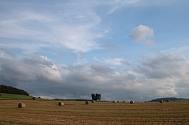 A field in ersheim, Germany