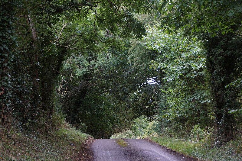 File:Country lane near Stenton - geograph.org.uk - 6261236.jpg