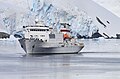 Russisches Kreuzfahrtschiff "Akademik Sergei Wawilow" im Lemaire-Kanal