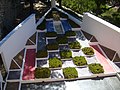 Cubist Garden Villa de Noailles Hyeres.JPG