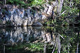 Water hole in D'Aguilar National Park