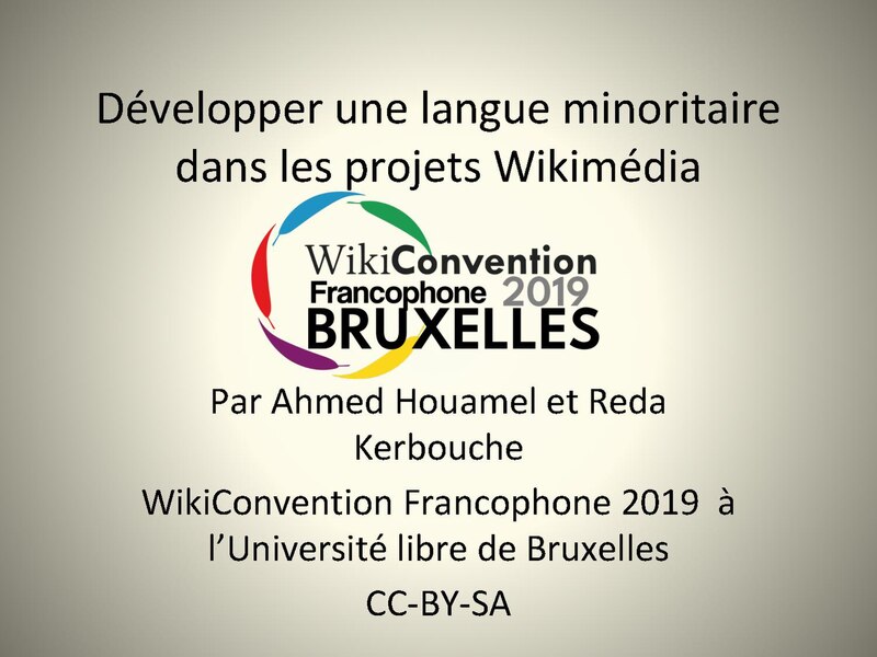 File:Développer une langue minoritaire dans les projets Wikimédia.pdf