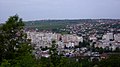 Dealul Cetățuia, 100 m altitudine, 25 mai, 2014 - panoramio (10).jpg