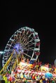 Delaware State Fair - 2012 (7737828070).jpg