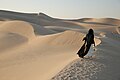 * Nomination Desert in the United Arab Emirates. By User:Evnt007 --Yann 10:52, 4 April 2024 (UTC) * Promotion  Support Good quality. --Poco a poco 10:56, 4 April 2024 (UTC)