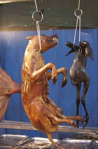 <span class="mw-page-title-main">Lychee and Dog Meat Festival</span> Food festival in Yulin, China