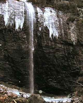 <span class="mw-page-title-main">Douglas Falls</span> Waterfall in Buncombe County, North Carolina