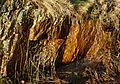 Drainage water from a forested area dripping into a ditch 4.jpg