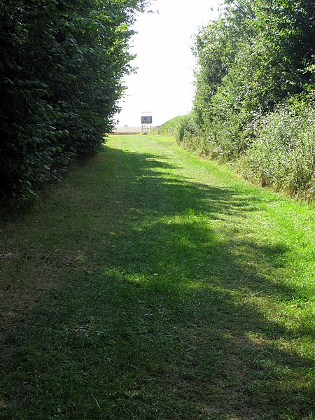 File:Drive through the spinney - geograph.org.uk - 3639613.jpg